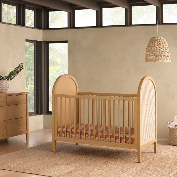 Babyletto Bondi Cane 3-in-1 Convertible Crib with Toddler Conversion Kit