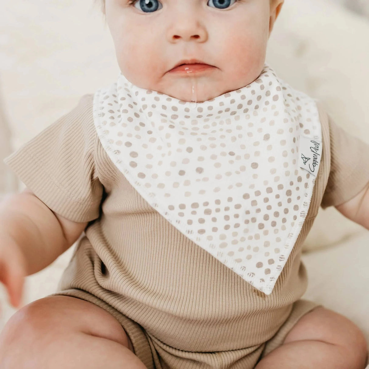 Copper Pearl Baby Bandana Bibs 4 Pack - Bliss - Kid's Stuff Superstore