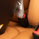 Nuna LUMN Harness Booster Seat - Kid's Stuff Superstore