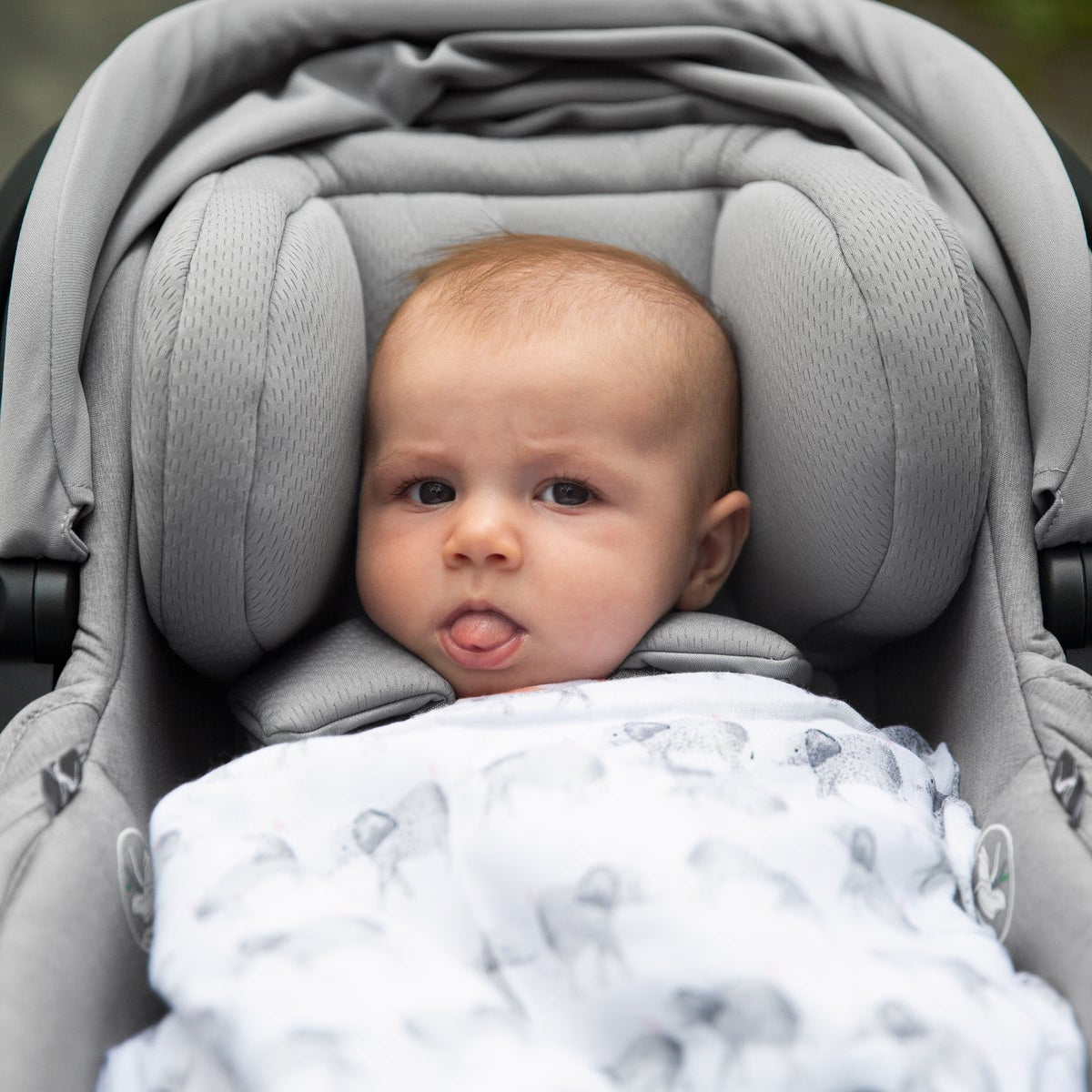 UPPAbaby Mesa V2 Infant Car Seat + Base - Kid's Stuff Superstore