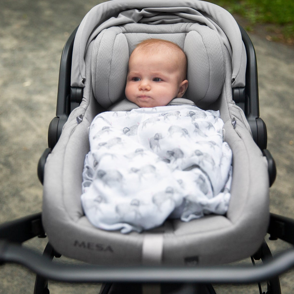 UPPAbaby Mesa V2 Infant Car Seat + Base - Kid's Stuff Superstore