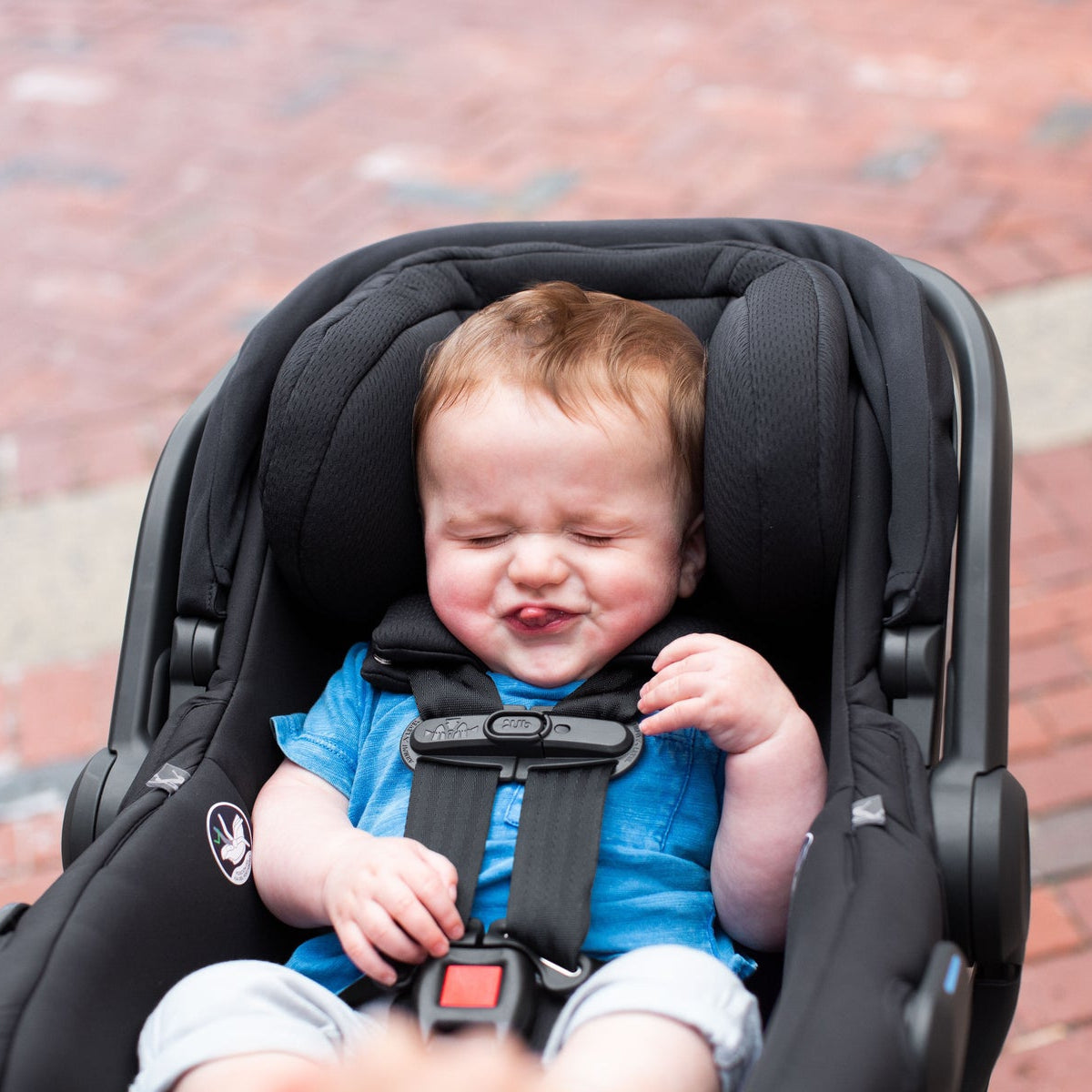 UPPAbaby Mesa V2 Infant Car Seat + Base - Kid's Stuff Superstore