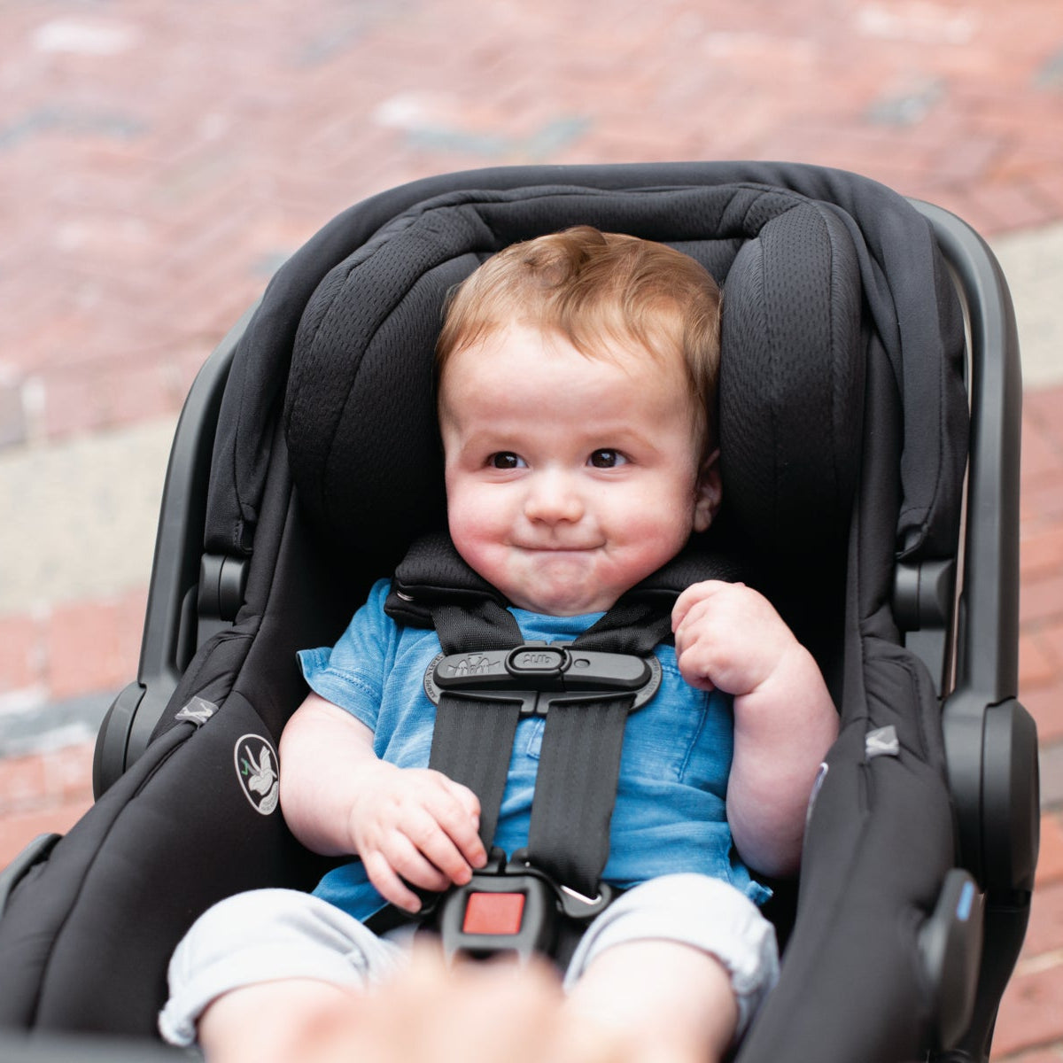 UPPAbaby Mesa V2 Infant Car Seat + Base - Kid's Stuff Superstore