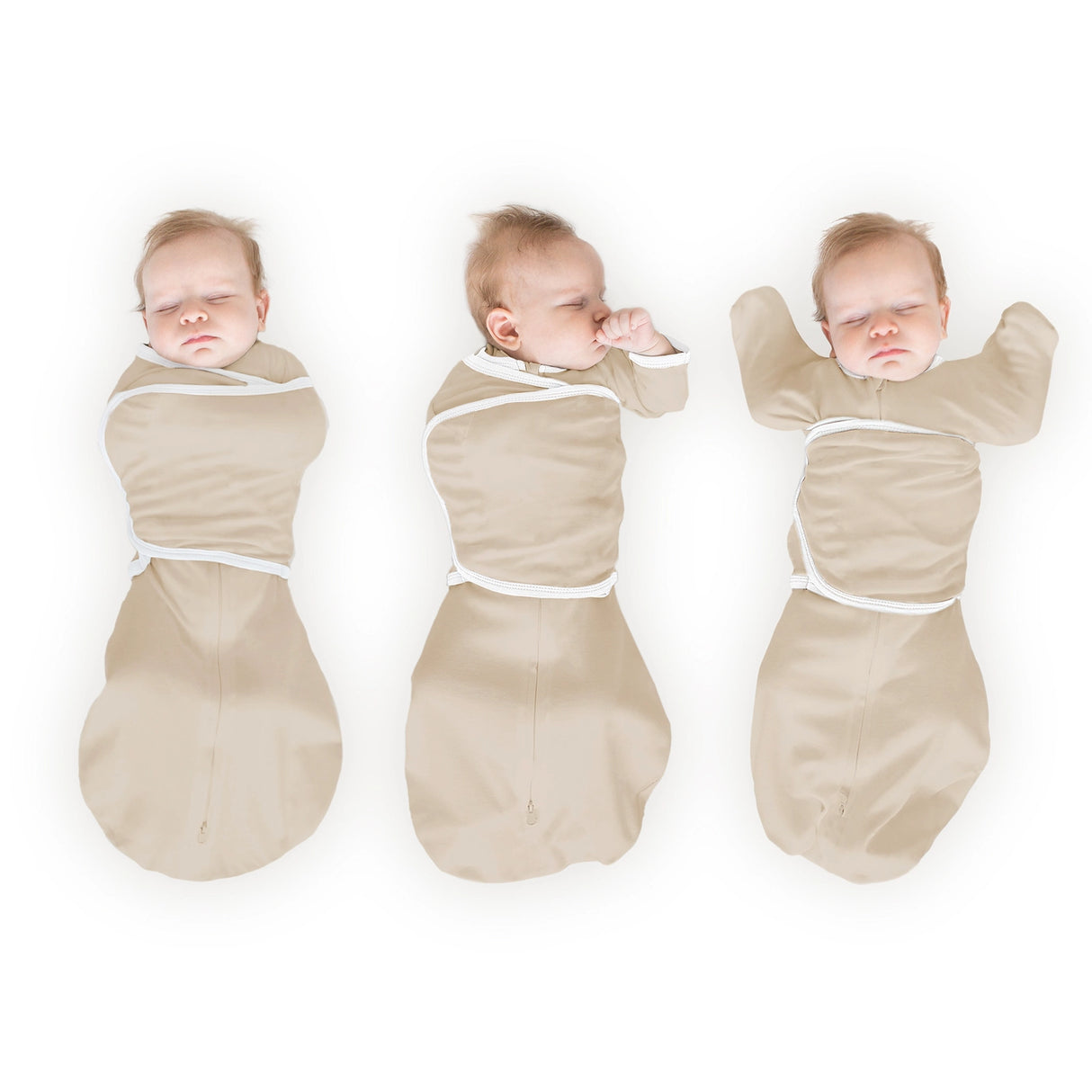 Swaddle Designs Organic Omni Swaddle Sack with Wrap - Sand Dollar - Kid's Stuff Superstore