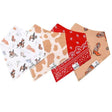 Copper Pearl Baby Bandana Bibs 4 Pack - Boone - Kid's Stuff Superstore