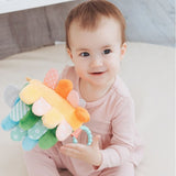 Pearhead Hedgie Snuggly Sensory and Learning Toy