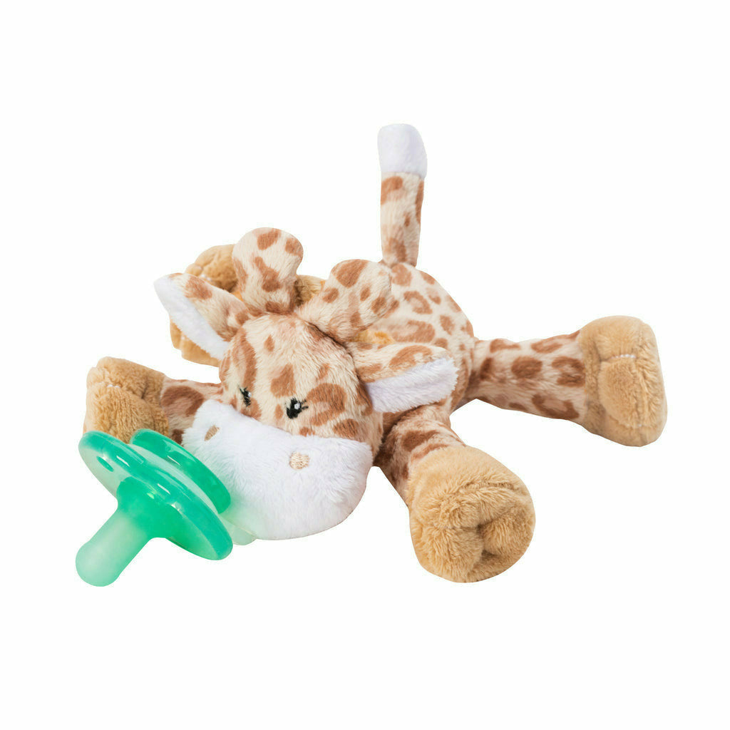 Nookums Paci-Plushies - Shakies - Kid's Stuff Superstore