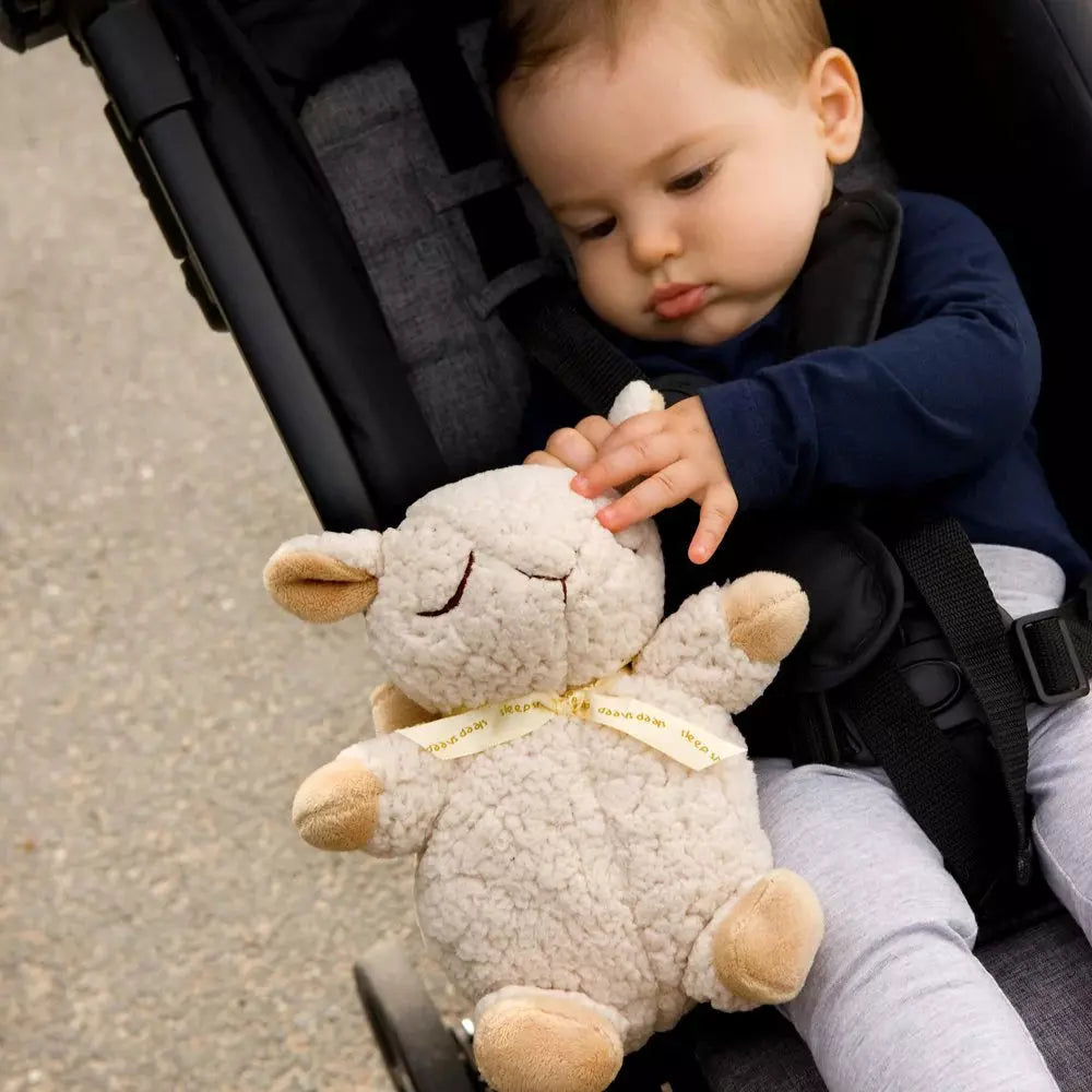 cloud.b Sound Machine - Sleep Sheep On the Go - Kid's Stuff Superstore