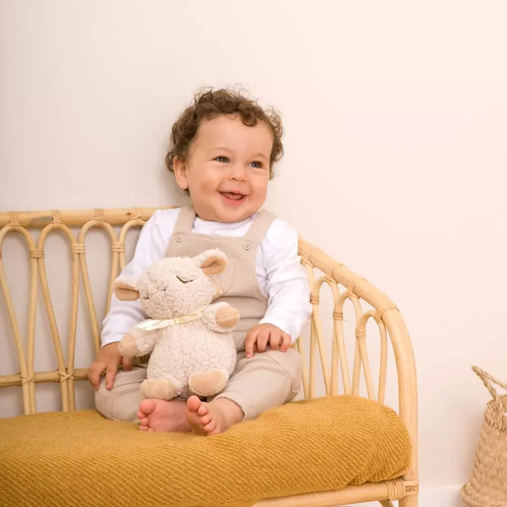 cloud.b Sound Machine - Sleep Sheep On the Go - Kid's Stuff Superstore