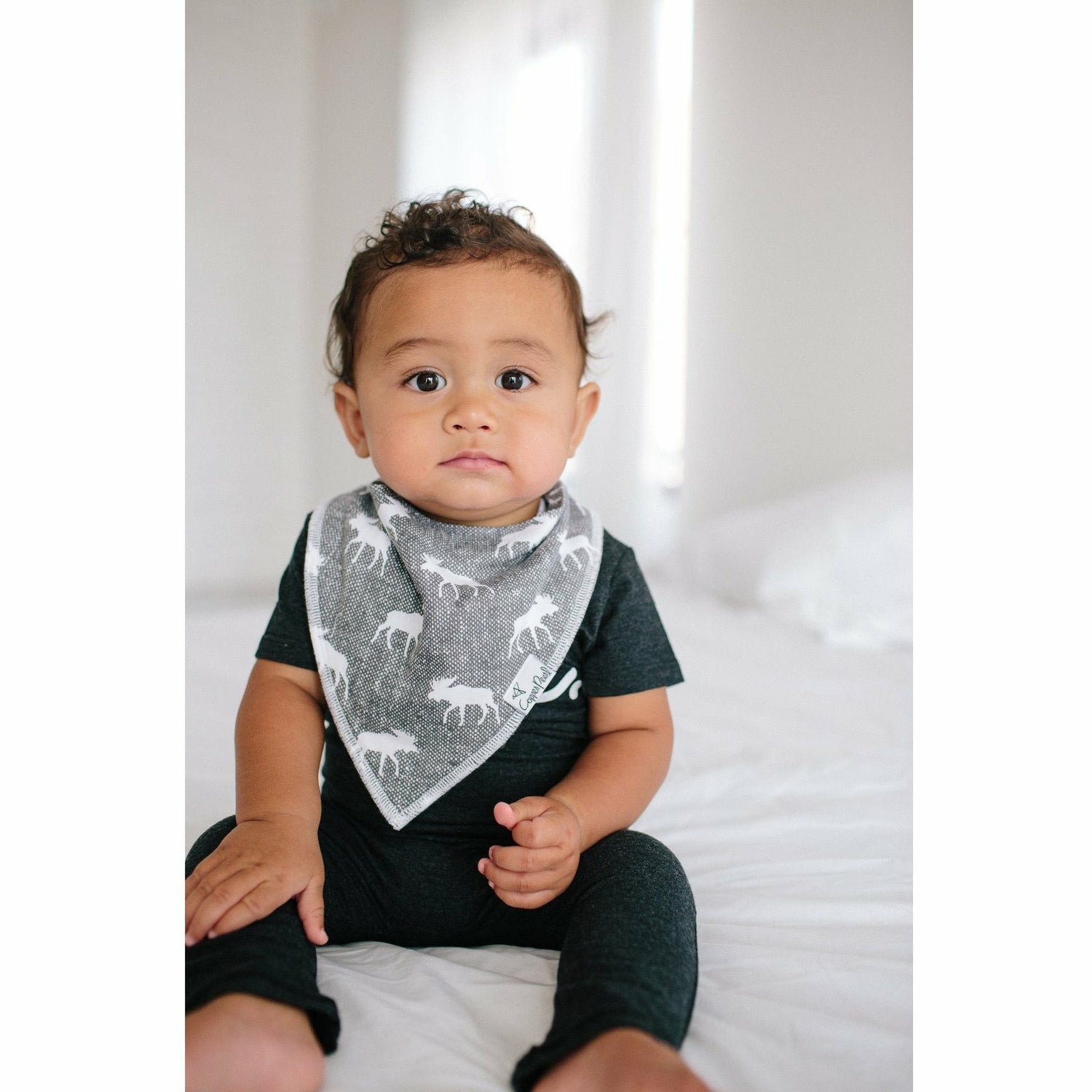 Copper Pearl Bandana Bibs 4 Pack - Scout - Kid's Stuff Superstore