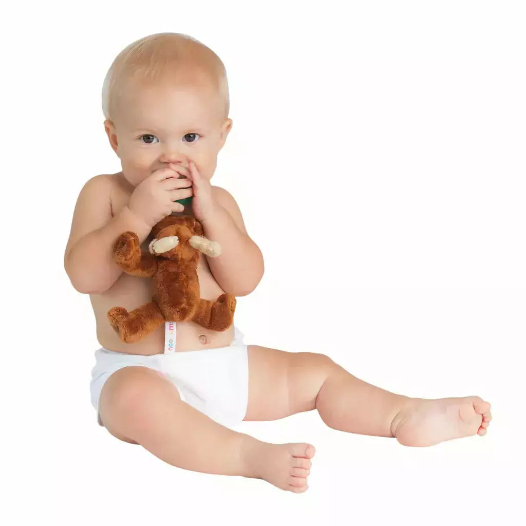 Nookums Paci-Plushies - Buddies Marley Moose - Kid's Stuff Superstore