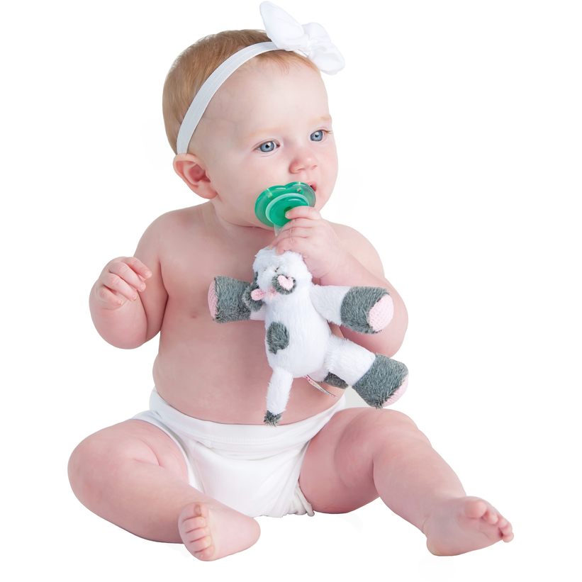 Nookums Paci-Plushies - Buddies - Kid's Stuff Superstore